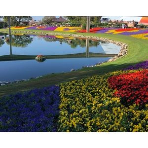 Meet your Posher, Lily